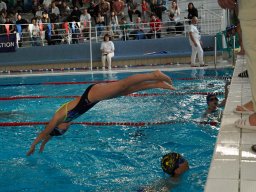Photos Saison 2024-2025 &raquo; Mini Neuf Cube #4 - Parc Aquatique du Raincy